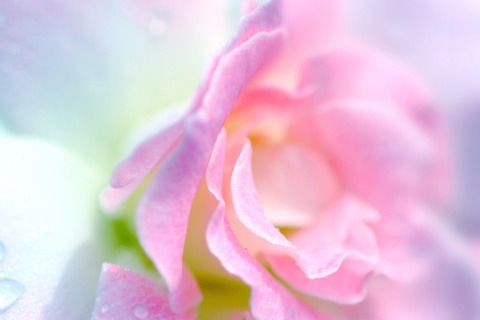 f63abce2c7c7ffbcba0732c352e135df_s