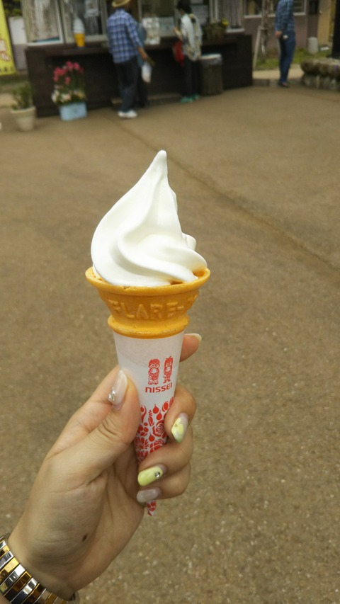旅かっぱ用_170507_0040