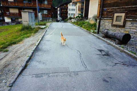 DSC02166