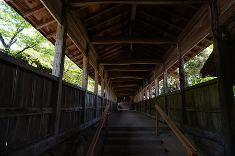 DSC01695