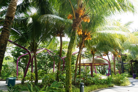 DSC04151