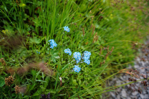 DSC01966