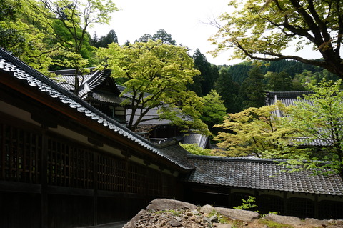 DSC01795
