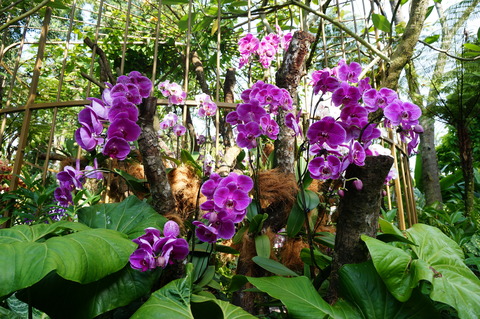 DSC04041