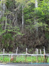 DSC07161