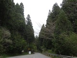 DSC07160