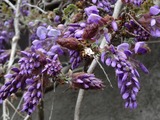 DSC07174