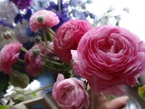 DSC07125