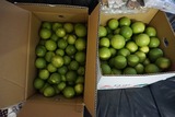 DSC00600