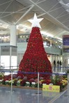 taiwanIMGP6113