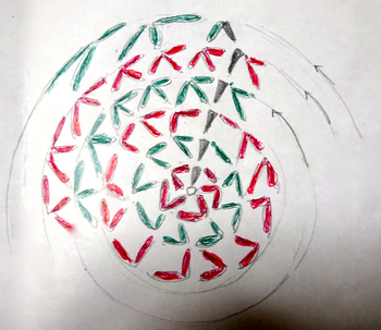 55