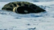 カナダUFO墜落top