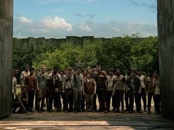mazerunner