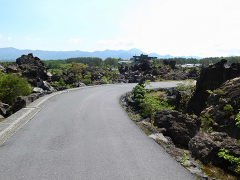 020_�ճ��ȹ�����