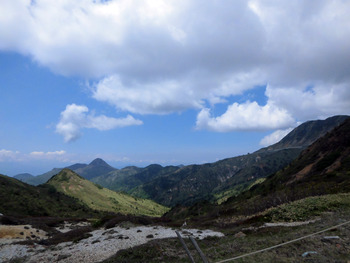 038_���Τ�������Ƥ��ޤ�