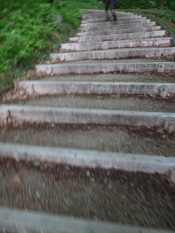 008_���������äƤޤ�