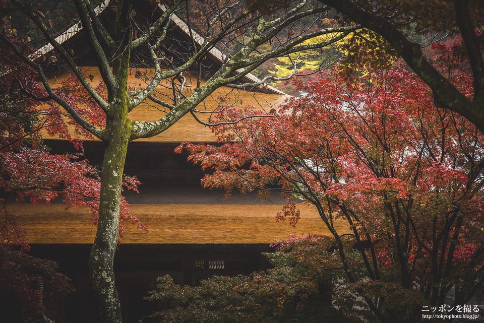 愛知県_瀬戸市_定光寺_171118_0002
