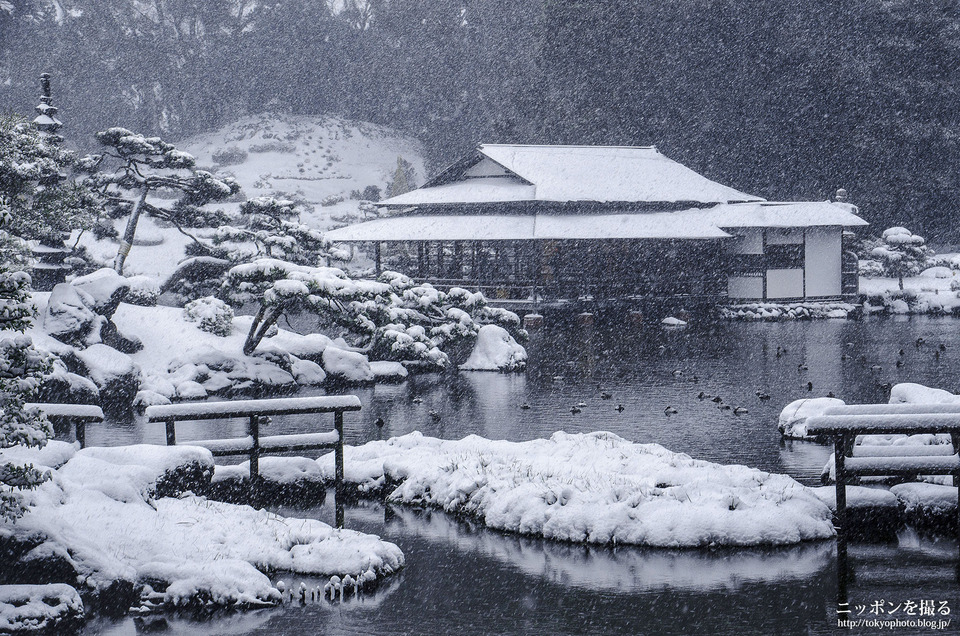 東京都_江東区_清澄庭園_140208_5786