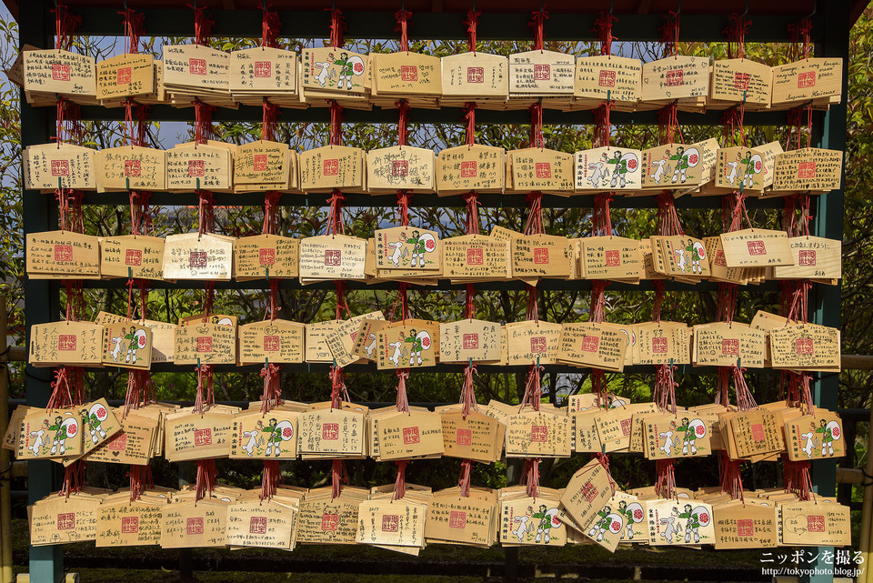 京都府_京都市東山区_清水寺_0089