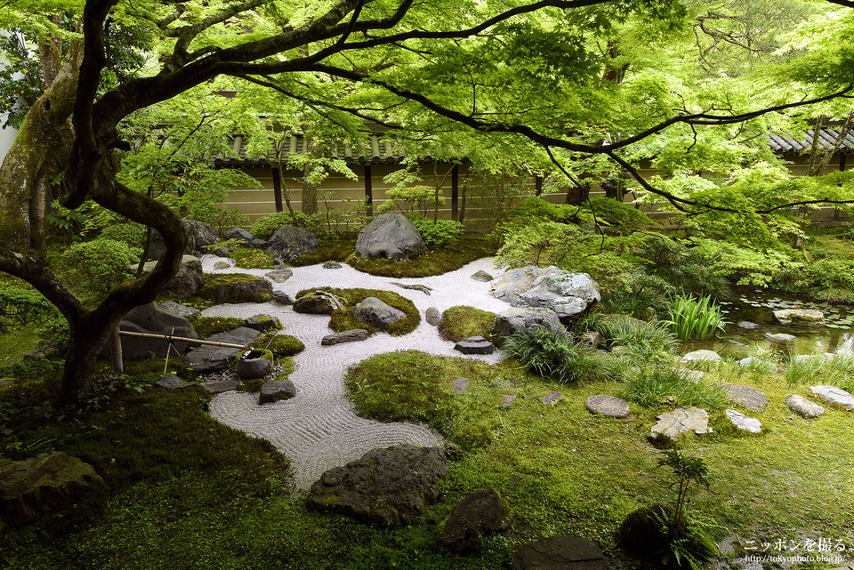 京都府_京都市左京区_永観堂禅林寺_0752