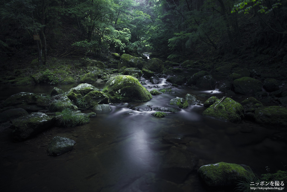 19-1_三重県_赤目四十八滝_夫婦滝_0160