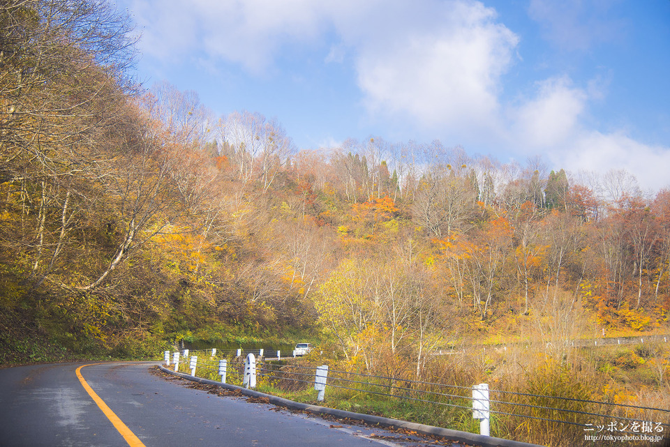 岐阜県_白川村_ホワイトロード_0108