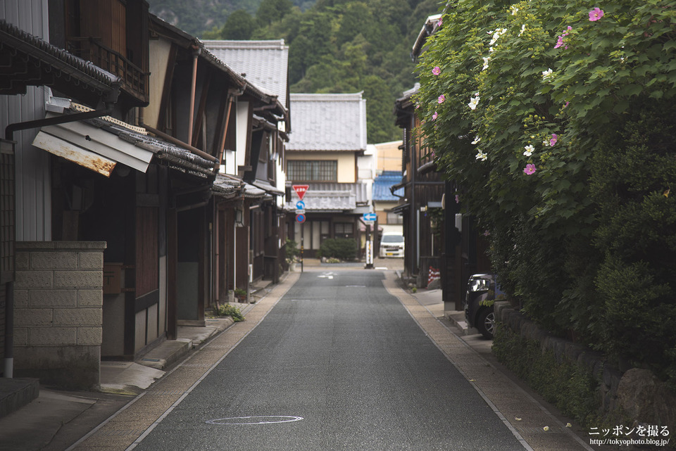 岐阜県_美濃市_うだつの上がる町並_0188