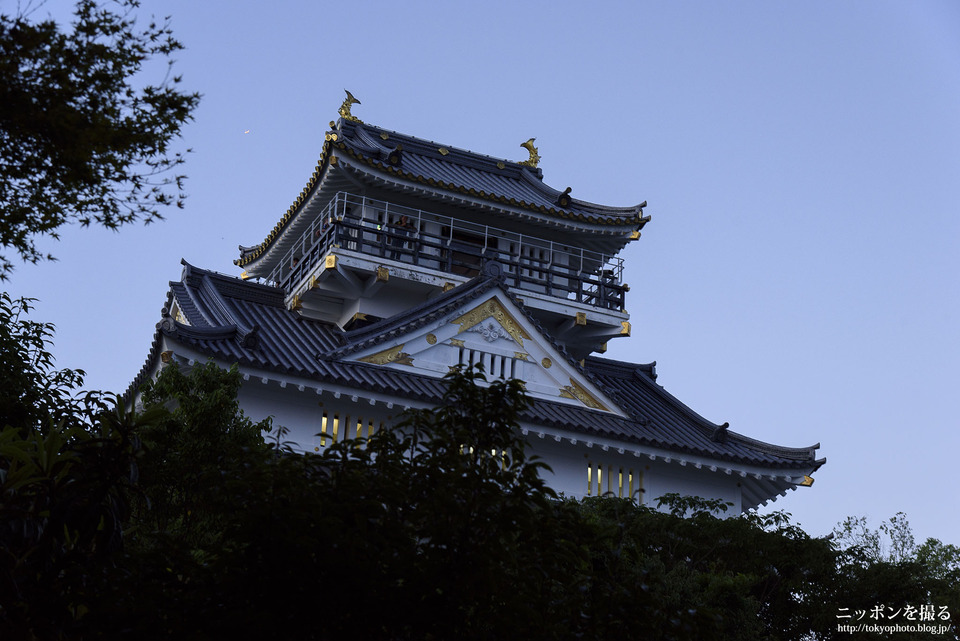 岐阜県_岐阜市_岐阜城_0426