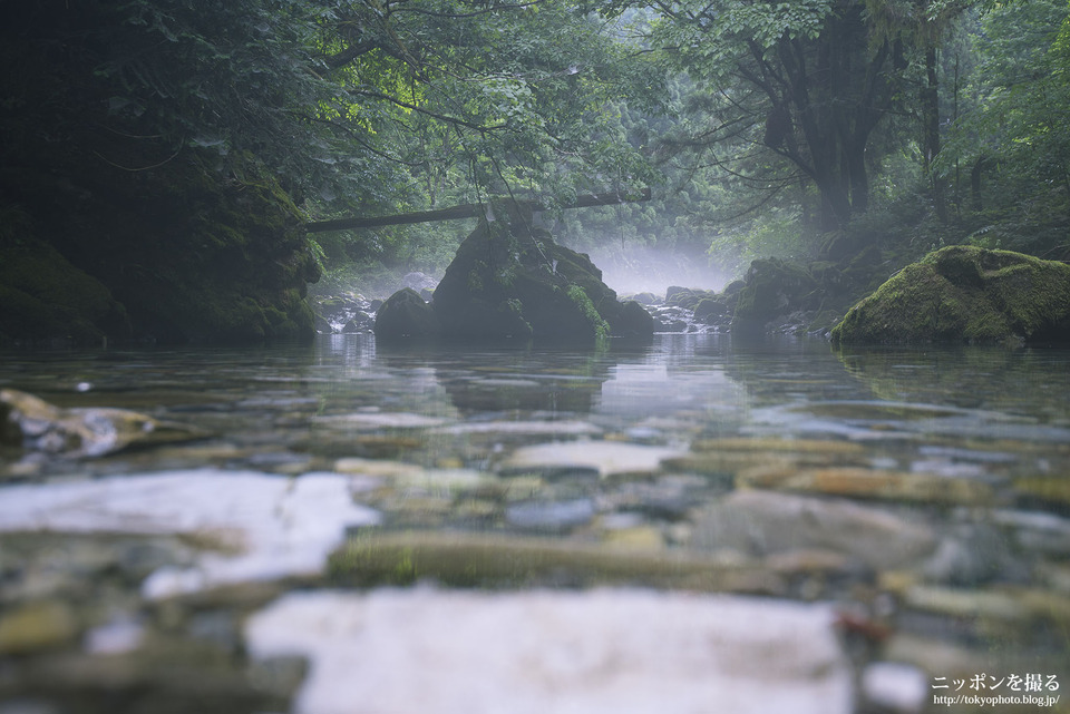 岐阜県_山県市_円原川_0009
