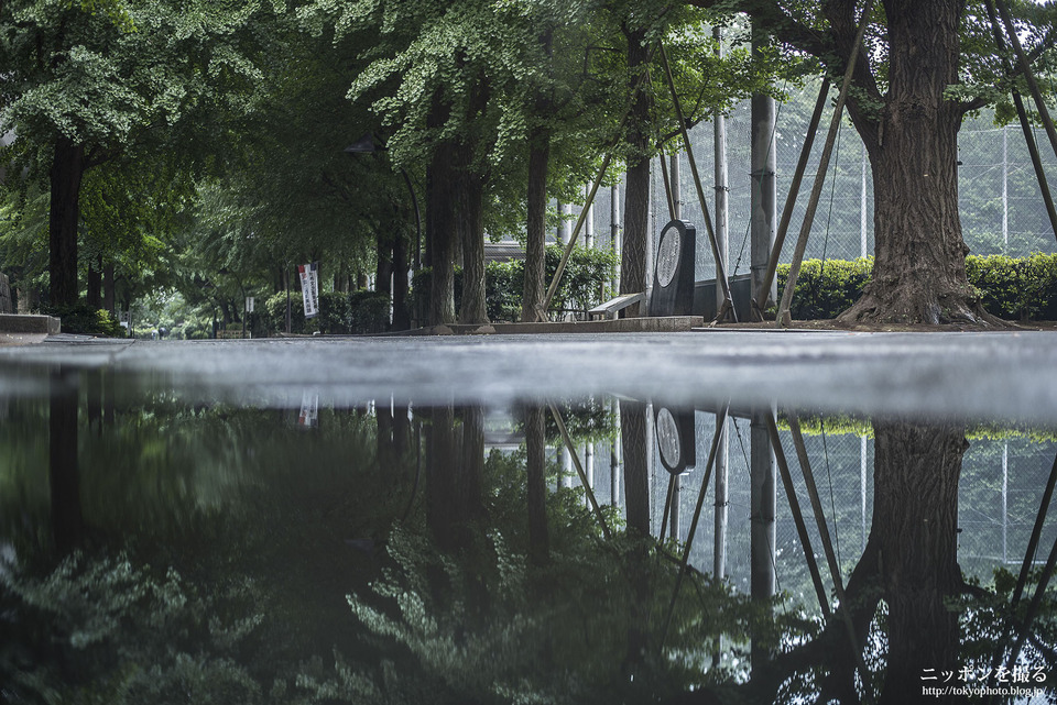 Main_東京_上野_上野公園_0128