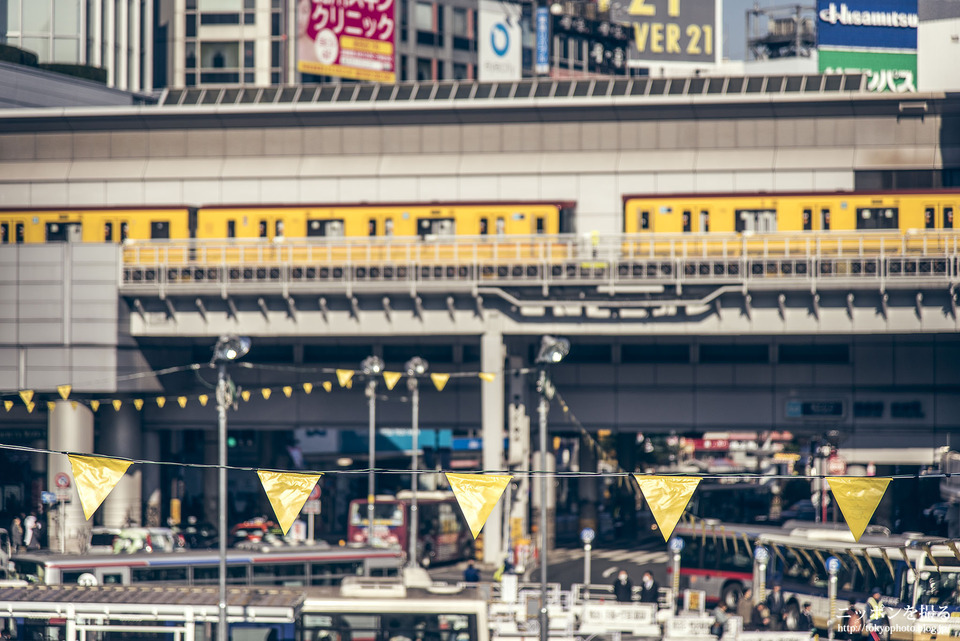 渋谷_0022train