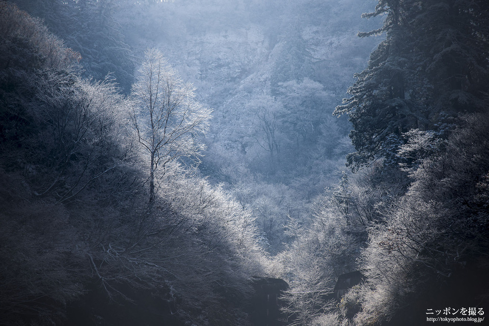 岐阜県_白川村_ホワイトロード_0157