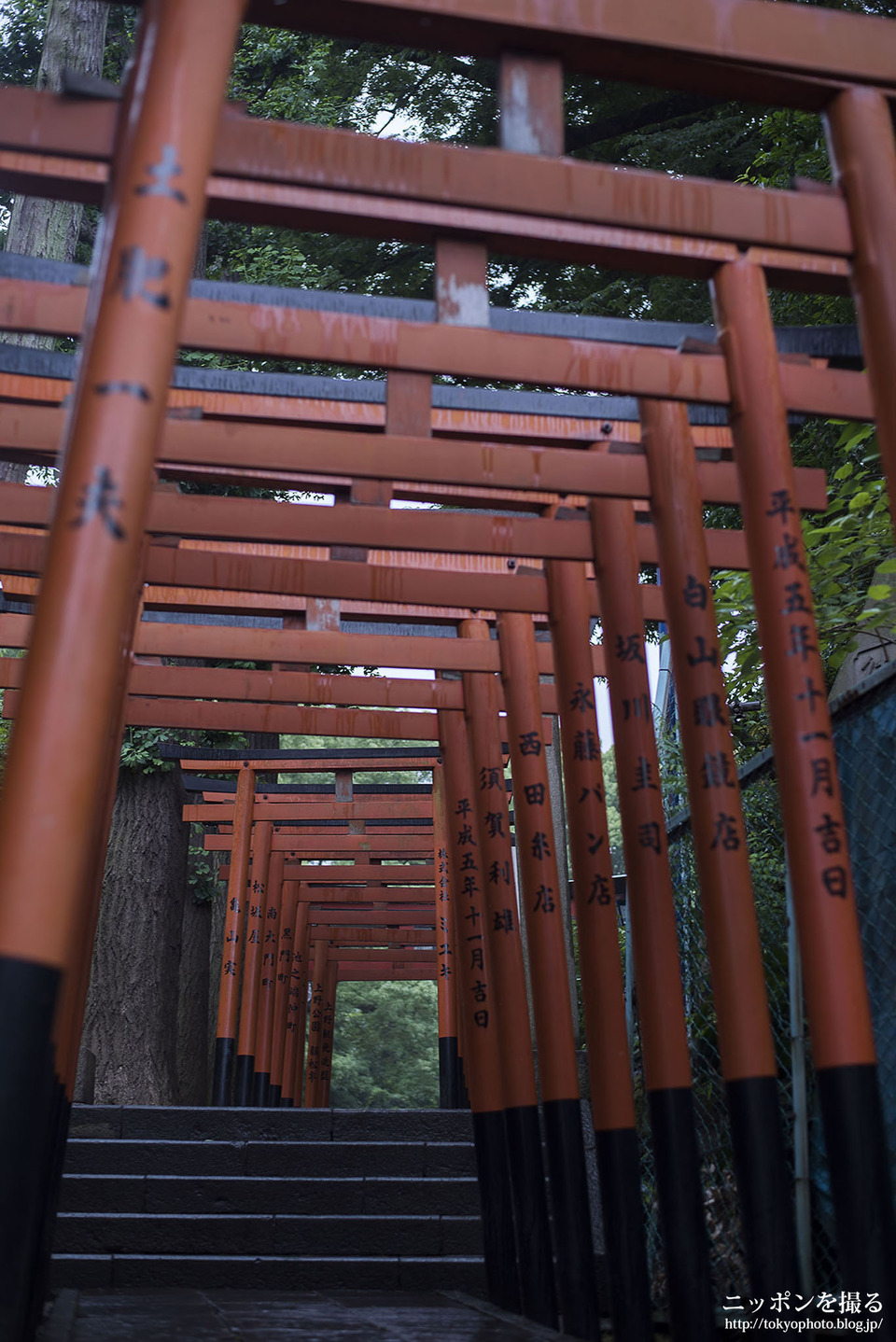 Main_東京_上野_花園稲荷神社_0107