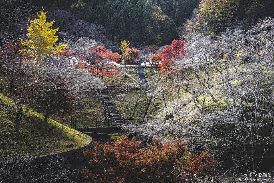 愛知県_豊田市_小原ふれあい公園_171119_0214