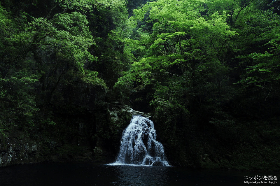 三重県_名張市_赤目四十八滝_5391