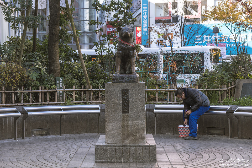 渋谷_0012