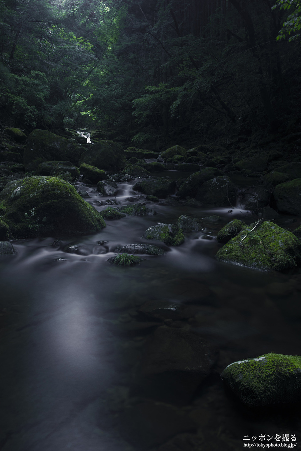 19-2_三重県_赤目四十八滝_夫婦滝_0163
