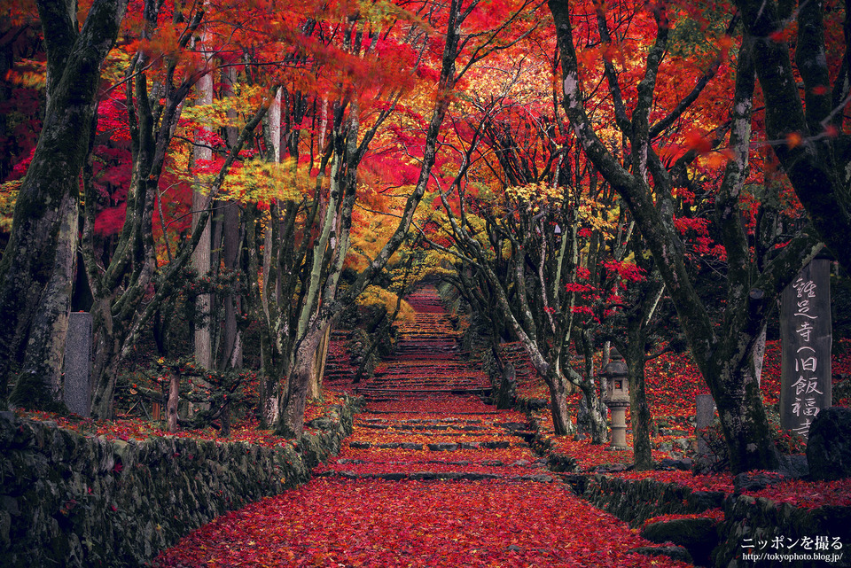 滋賀_長浜市_鶏足寺_0065