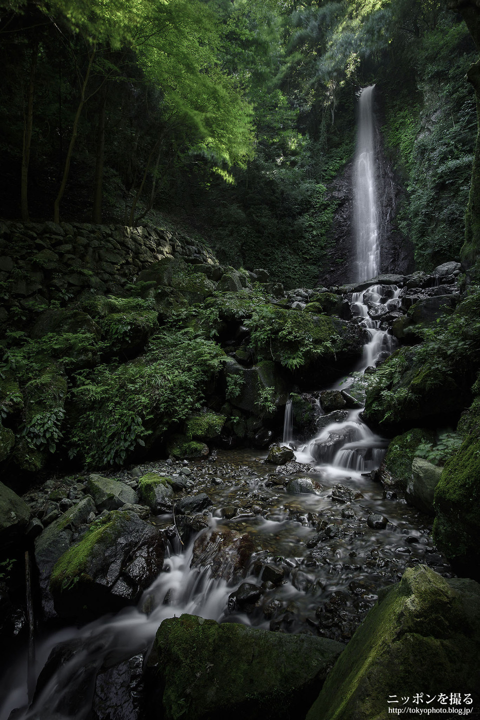 Main_岐阜県_養老町_養老の滝_0163
