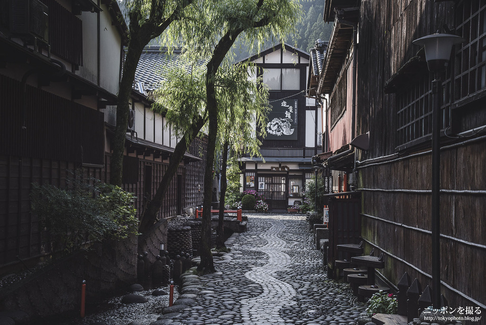 岐阜県_郡上市_やなかみずのこみち_0080