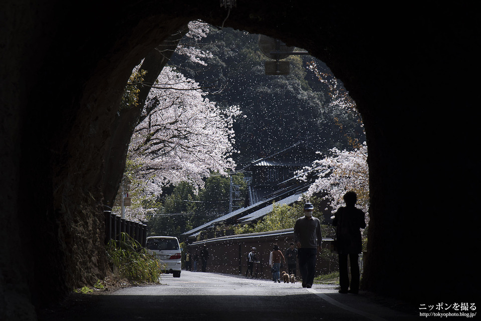 愛知県_犬山市_犬山城_0136