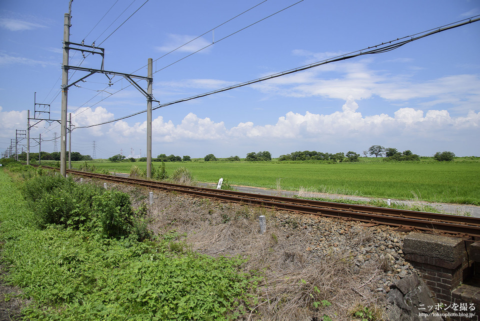 岐阜県_海津市_養老鉄道養老線_0095