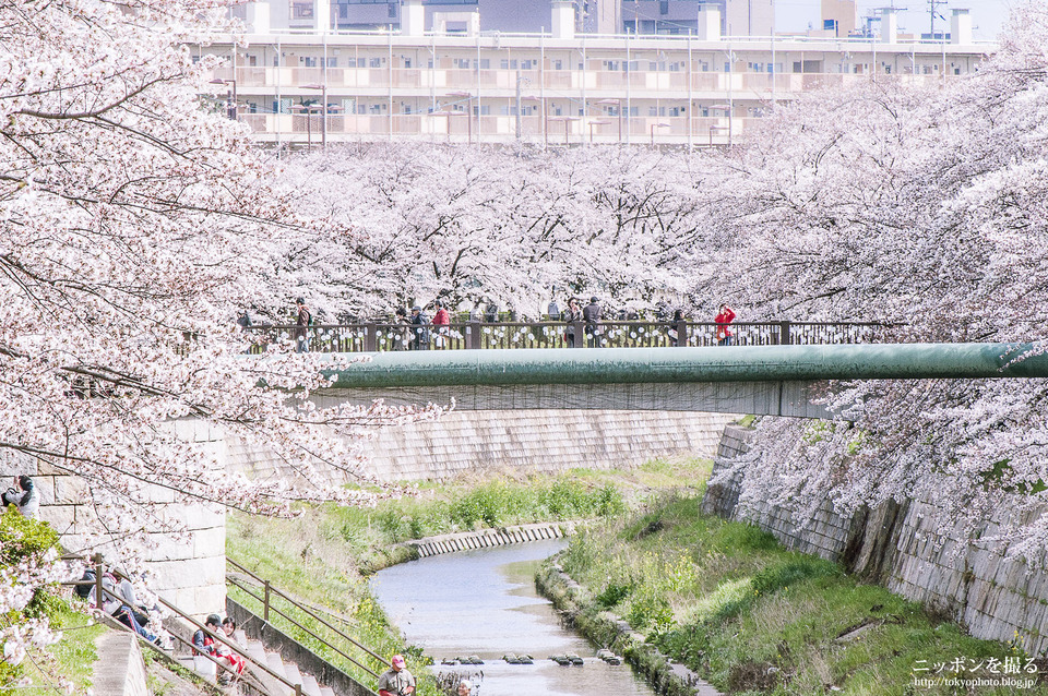 石川橋_0407