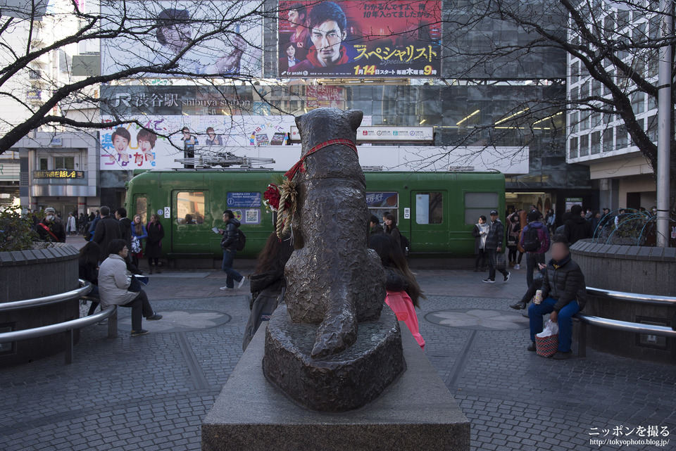 IN01_渋谷_0009