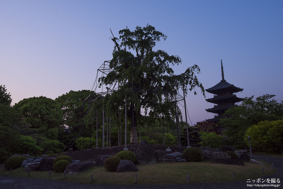 京都府_京都市南区_東寺_0014