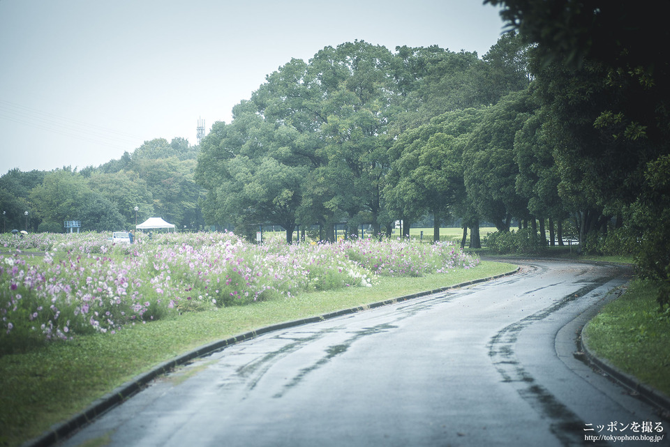 愛知県_名古屋市西区_庄内緑地公園_0069