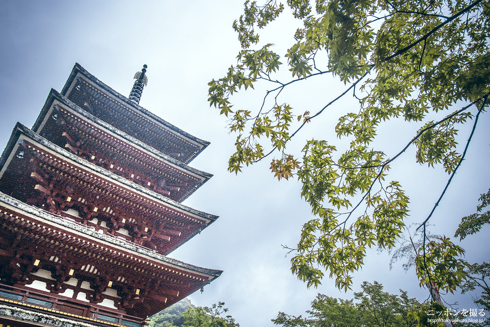 長谷寺_雨_6月中旬_0033