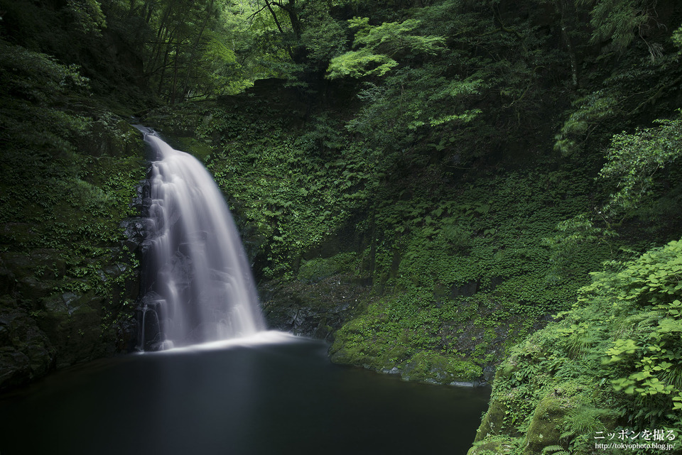 04-1_三重県_赤目四十八滝_不動滝_0029
