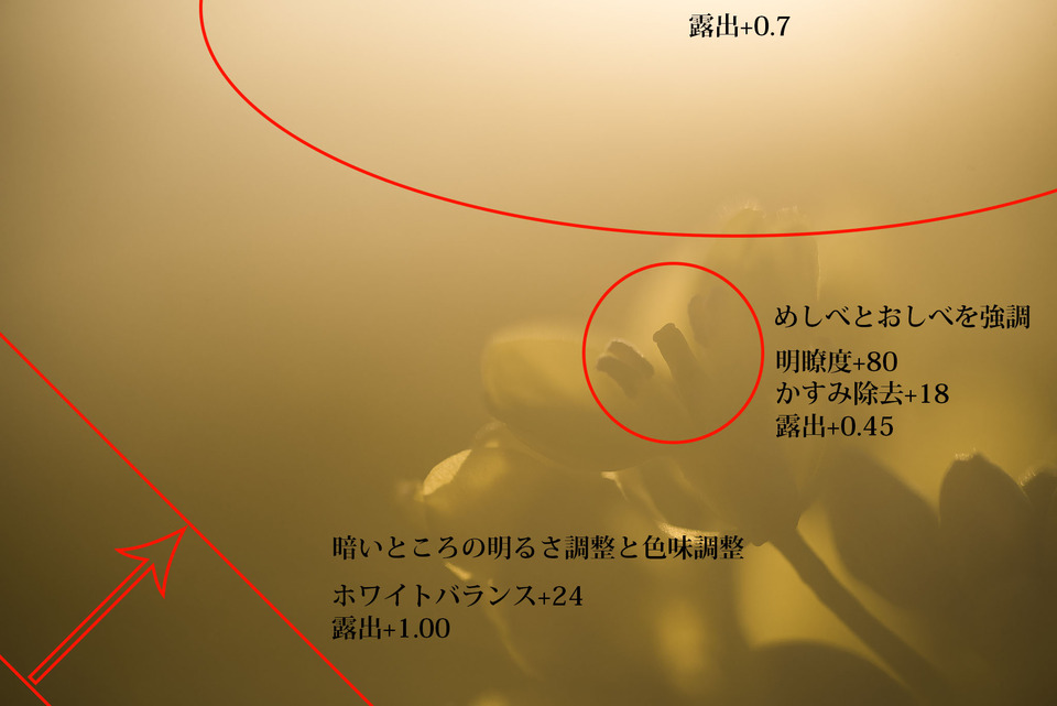 レタッチ_部分補正前