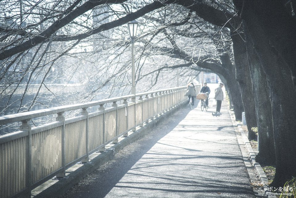 東京都_板橋区_中板橋_0082